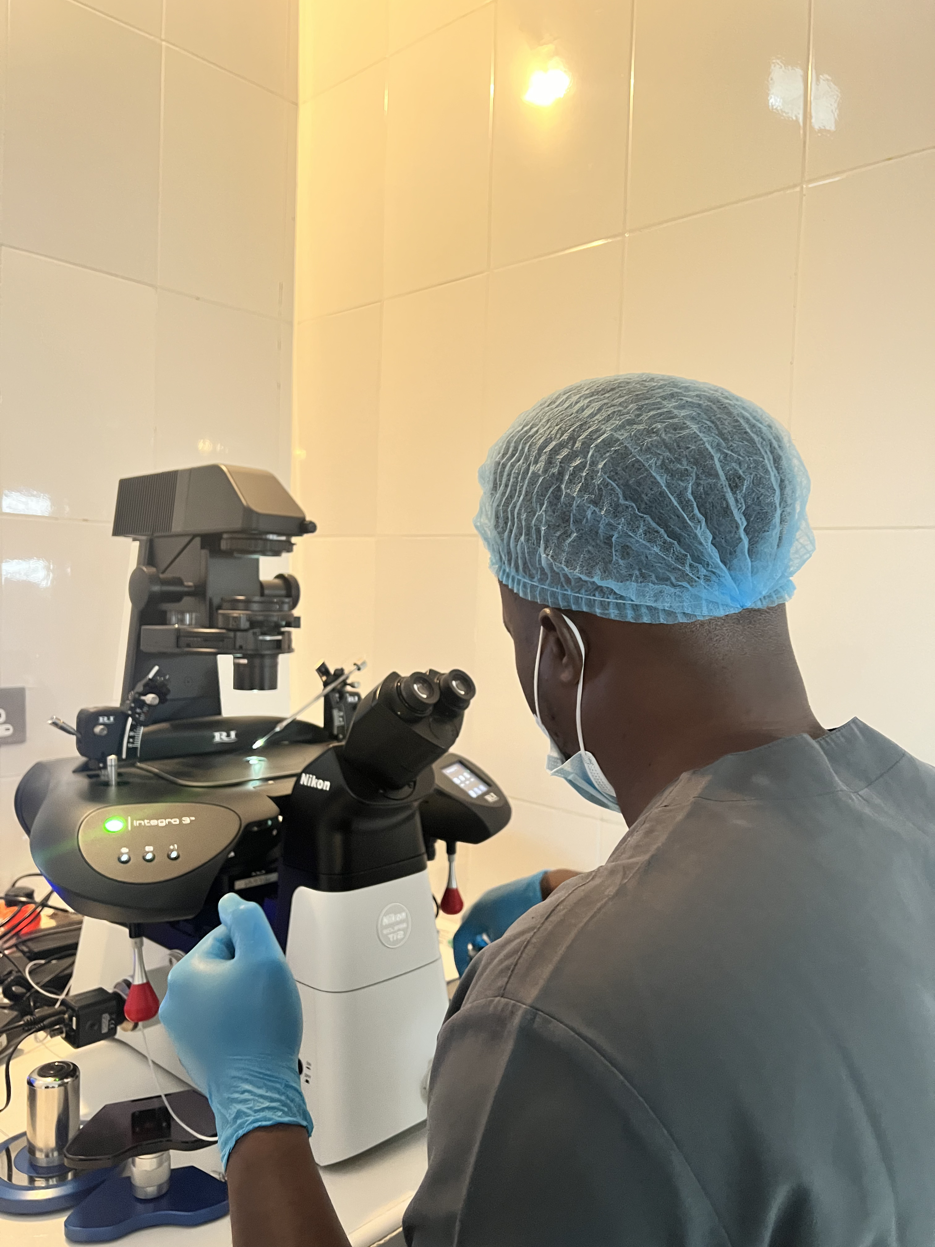 Understanding your IVF cycle, day by day